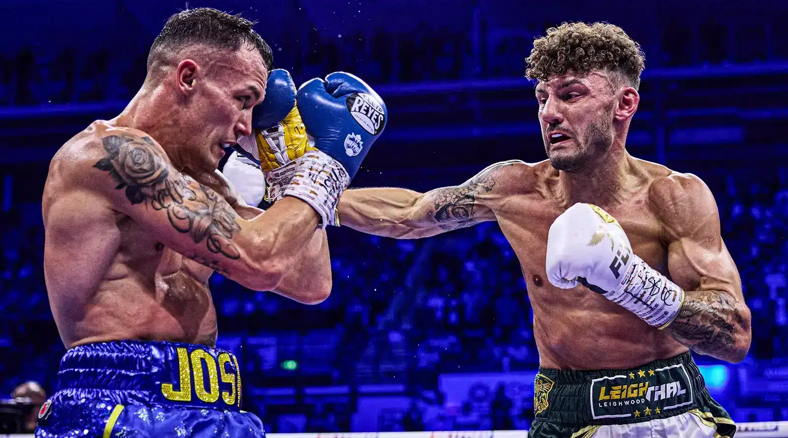 wood vs warrington 